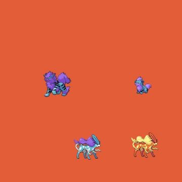 arcanin caninos et suicune
