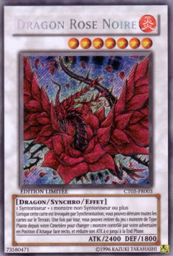 dragon rose noire 