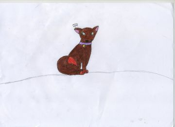 petit chien 