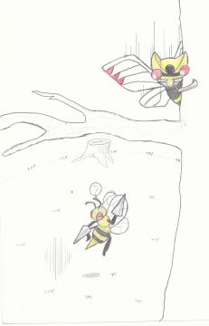 Dardargnan VS Ninjask
