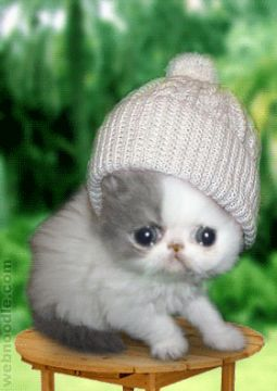 oua !! fait froid !! 