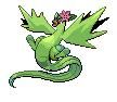 shaycodin
