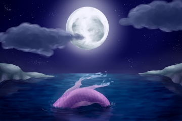 Nuit sur la Mer