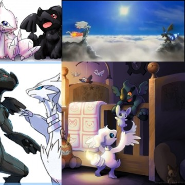 la vie de reshiram et zekrom