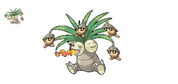 noix-de-coco