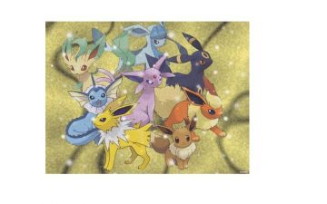 les 7 evolutions d'evoli