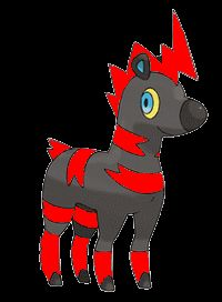 Shimama shiny 