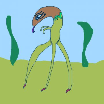 Tripod