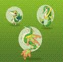 la chaine d' évolution du starters plantes