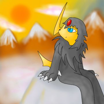 Mon sona en montagnes (25/11/2010)