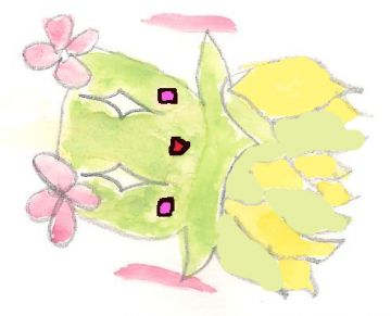 Dessin Joliflor