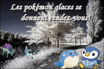 Les pokémons Glace se donnent rendez-vous!
