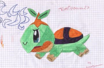 Commande pour tortipouss27