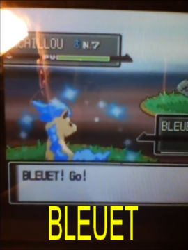 Mon premier shiny au pokeradar