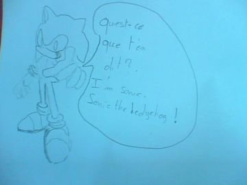 sonic the hedgehog!