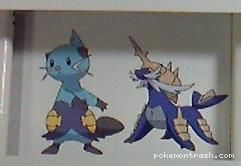 EVOLUTION DU STARTER DE TYPE EAU