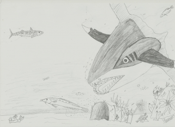 Sharpedo en chasse