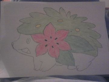 shaymin