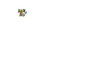 ses une autre de mes envantion pokemon