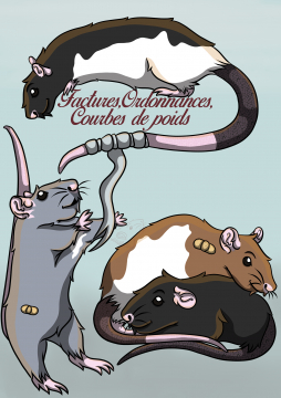 Commande ~ 4 rates 
