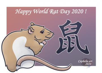 World rat day ~ Praline