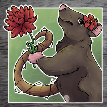 Redraw ~ Mascotte