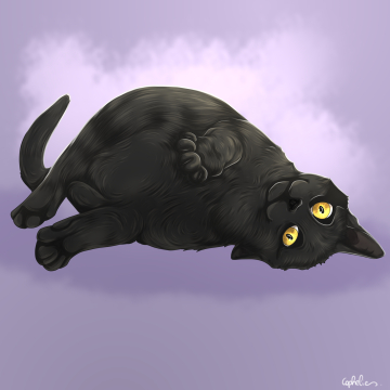 Commande chat