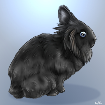 Maître Splinter