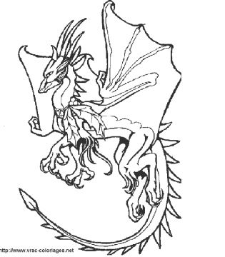dragon fougueux