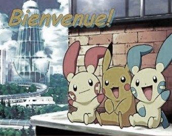 Bienvenue Dans Ma Galerie. Je La Nommerais PokéStrong