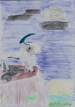 Absol regrdant le vol des Lumivoles et Mucioles