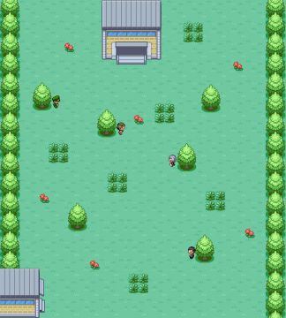 route 06
