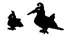 Un nouveaux départ pour l'oiseau