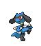 riolu!!!