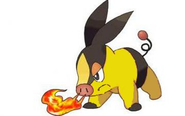 Gruikui shiny, recolo