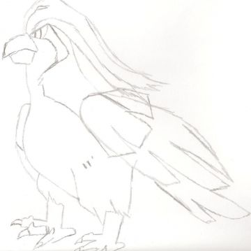 roucarnage