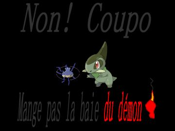 Non Coupo!