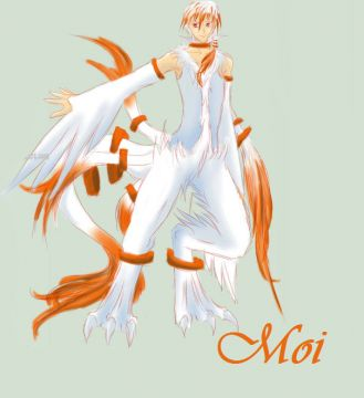 Moi, Reshiram le blanc
