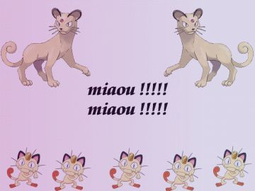 clan miaous