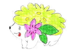 Shaymin dans toute sa splendeur