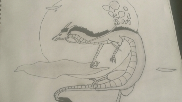 ~ Le dragon monochrome ~
