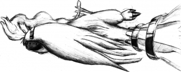 croquis reshiram 