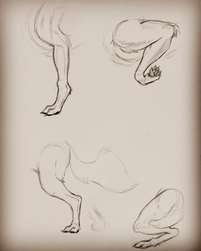 paws tutorials