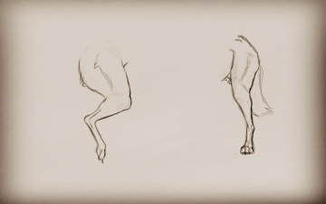 Paws tutorials 