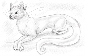 Sketch Dragon Eastern Cartoon