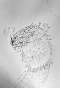 Dragon Asian sketch 