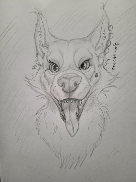 Croquis rapide wolf Custome