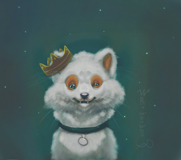 Fox upgrade !