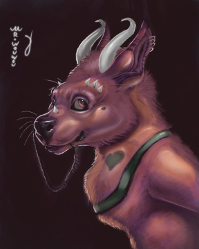 Canidea hybrid Angel Dragon