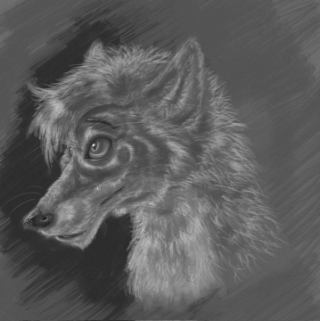 Commission for Halfox